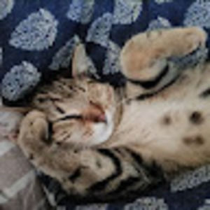 Meet your Posher, Patty